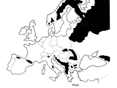 Historický výskyt medveďa hnedého na území Slovenska