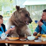 Zdroj https://www.countryliving.com/